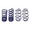 2015-26 Mustang Steeda Pro-Action Shock, Strut & Spring Kit