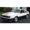 Mustang Cobra Decal Kit - Bittersweet Red | 80-81