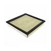 2010-14 F-150 Raptor Motorcraft Air Filter