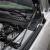 2015-23 Mustang Roush Hood Struts