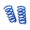 2015-26 Mustang Steeda Rear Drag Spring Kit