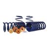 2015-2023 Mustang Ford Performance Track Lowering Spring Kit