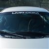 LMR.com Windshield Banner  - Silver w/ Red Dot