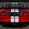 2020-2022 Mustang Ford Performance GT500 Deck Lid Trim Panel - Carbon Fiber