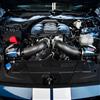 2024-26 Mustang Corsa Carbon Fiber Cold Air Intake Kit 5.0
