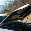 2024-26 Mustang Cervini 4" Cowl Hood