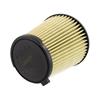 2024-26 Mustang Motorcraft Air Filter 5.0