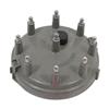 1993-95 F-150 SVT Lightning Motorcraft Distributor Cap & Rotor Kit
