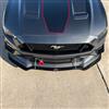 2018-23 Mustang APR Carbon Fiber Front Splitter w/ Support Rods  - Performance Pack