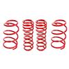 2005-2014 Mustang BMR Lowering Spring Kit - Drag