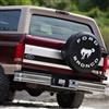 1992-96 Bronco Tailgate Finish Panel Trim - Smoke w/ Ford Oval
