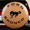 1992-96 Bronco SpareCover Spare Tire Cover - 31"  - Tan