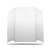 2013-14 Mustang Cervini Cobra R Hood