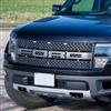 2010-14 F-150 Raptor Raptor Front Grille For Front Camera