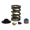 1979-95 Mustang Comp Camps Valve Spring Upgrade Kit - GT40/GT40P 5.0/5.8