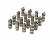 1993-95 F-150 SVT Lightning Ford Performance Hydraulic Roller Lifters 5.8