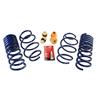 2015-2023 Mustang Ford Performance 1" Lowering Springs 5.0/Ecoboost