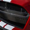 2020-2022 Mustang Ford Performance GT500 Front Bumper Insert - Carbon Fiber