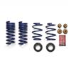 2024-26 Mustang Ford Performance Track Lowering Spring Kit GT Coupe