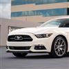 2015-17 Mustang 50th Anniversary Lower Grille