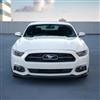 2015-17 Mustang 50th Anniversary Lower Grille