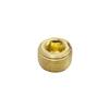 1986-93 Mustang EGR Coolant Hose Block Off Plug 5.0