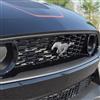 2021-2023 Mustang Mach 1 Exterior Trim Paint Kit - Magnetic Metallic