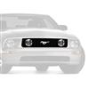 2005-2009 Mustang Front Grille GT