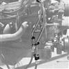1986-93 Mustang Fuel Rail Extension Lines w/ Clips 5.0