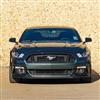 2015-17 Mustang GT Lower Grille