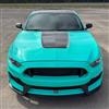 2015-17 Mustang GT350 Style Front Bumper Kit