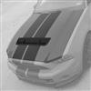 2010-14 Mustang GT500 Style Hood - Aluminum