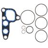 1996-2004 Mustang Oil Cooler Rebuild Kit Cobra