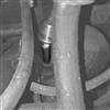 1979-89 Mustang Oil Pressure Sending Unit Extension 5.0