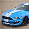 2016-20 Mustang Shelby GT350 Upper Grille