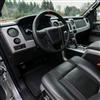 2010-14 F-150 Raptor Interior Paint  - Silver