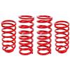 1979-2004 Mustang BMR Lowering Springs
