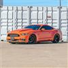 2015-23 Mustang SVE DHP1 Forged Wheel & Nitto NT05 Tire Kit - 19x10/11  - Black