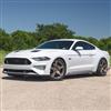 2015-23 Mustang SVE R355 Wheel & Nitto Tire Kit - 19x10/11 - Satin Bronze
