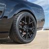 2005-26 Mustang SVE SP2 Wheel - 19x11  - Gloss Black