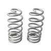 1994-04 Mustang Team Z Rear Drag Springs