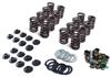 1979-1995 Mustang 5.0/5.8 Trick Flow Valve Spring Upgrade Kit - OE Style Cast Iron Head