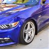 2015-23 Mustang ZL1 Front Rock Guards - Standard