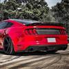 2015-23 Mustang ZL1 Wicker Bill For GT350 Track Pack Spoiler 